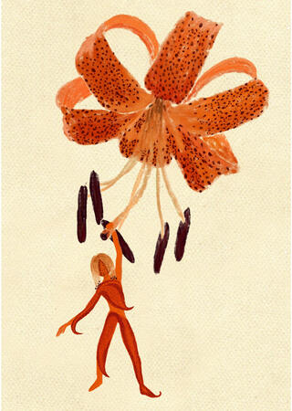Lilly